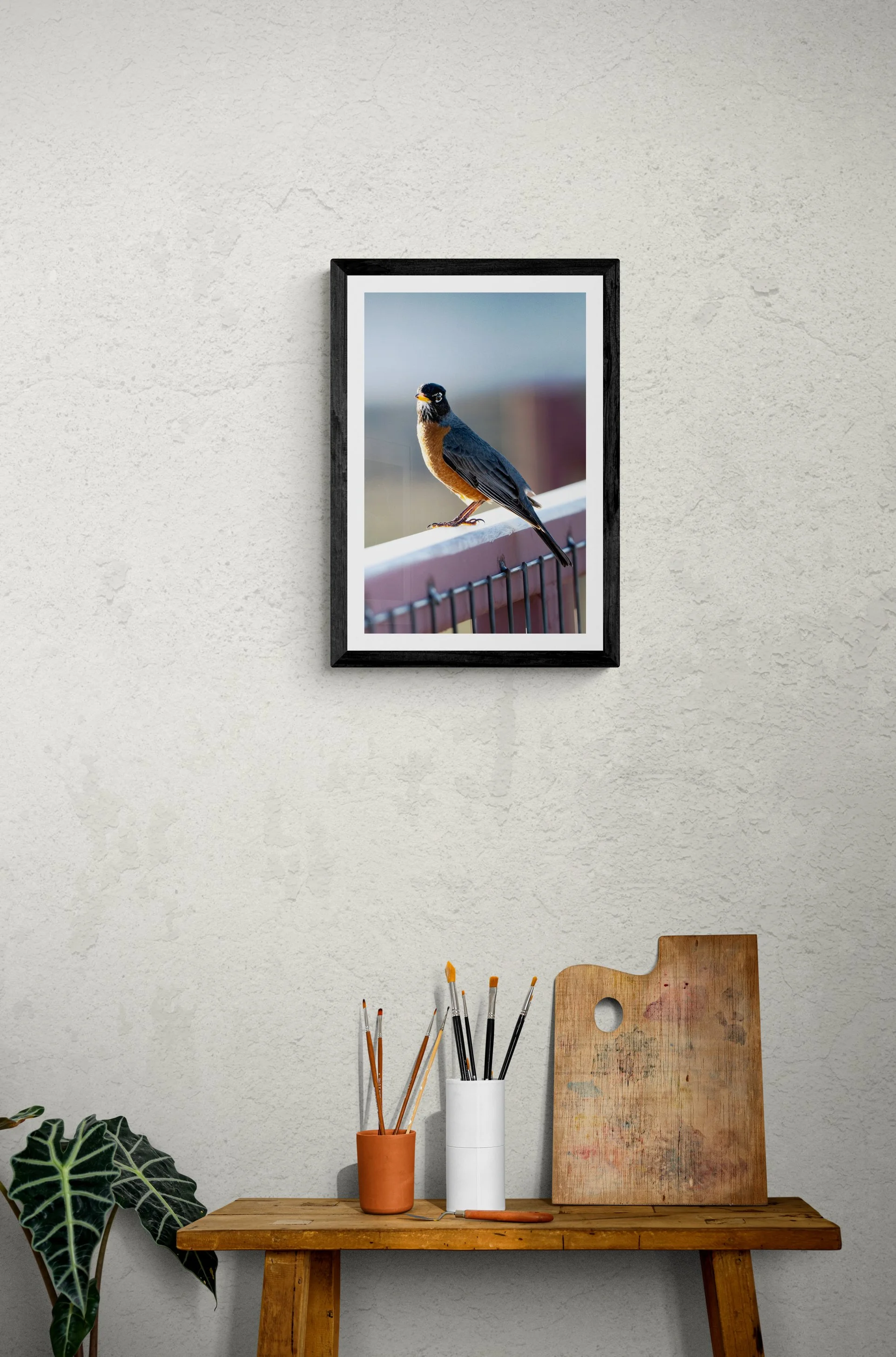AmericanRobinFramed.jpg