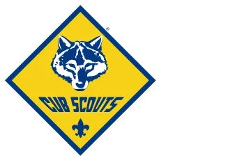 Scout Night