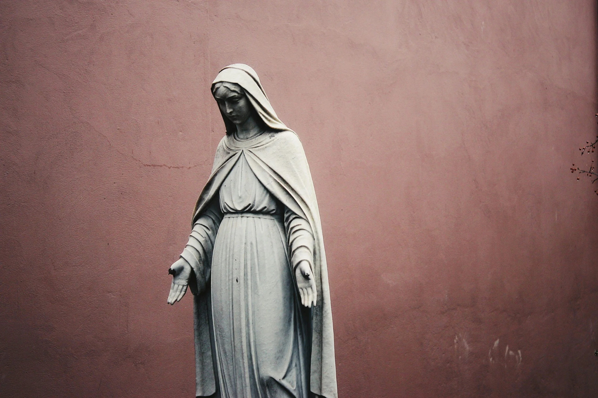 Immaculate Conception
