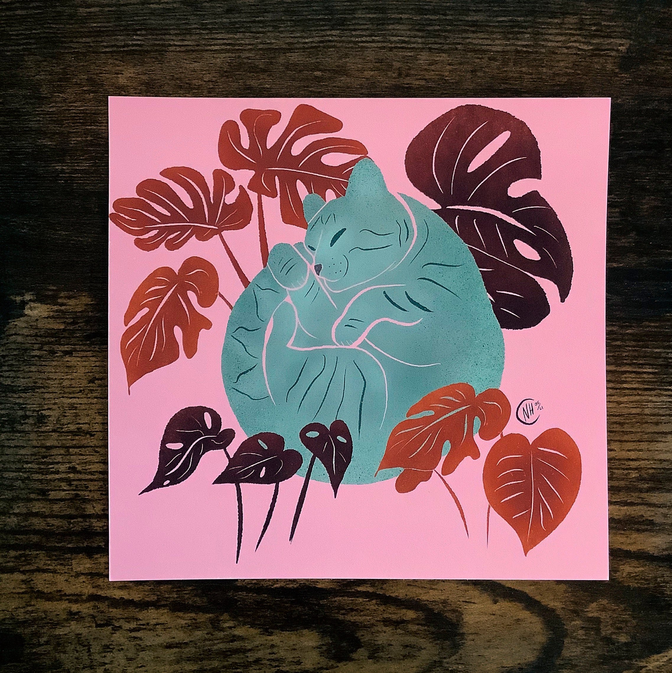 https://i.etsystatic.com/8313842/r/il/d44290/3399305886/il_fullxfull.3399305886_dfbh.jpg
