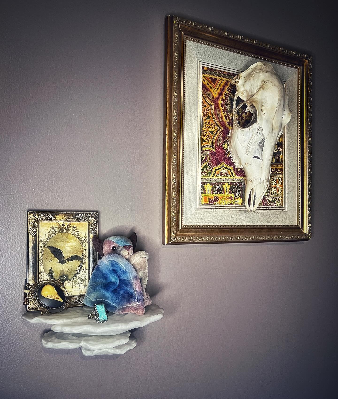 I finally got around to getting a mushroom shelf set up in my Victorian / goths inspired bedroom 🤩

Love how it looks in this style of decor too 🥰

I found the deer skull in the woods, the bat beanie baby I&rsquo;ve had since I was a teen 😅and the