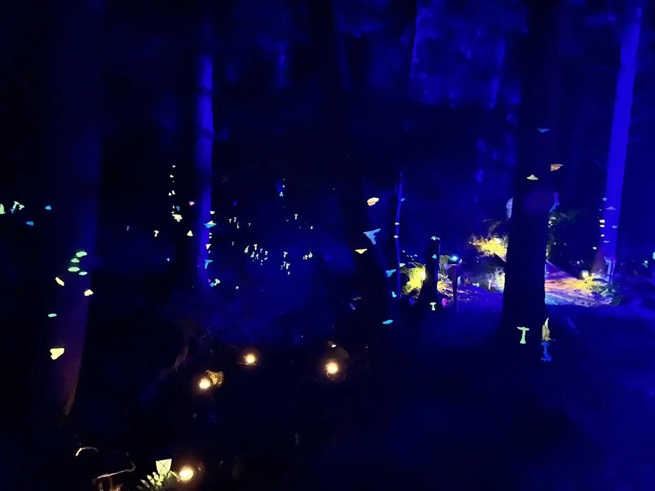 Luminous Shroomscape at Firelight Gathering