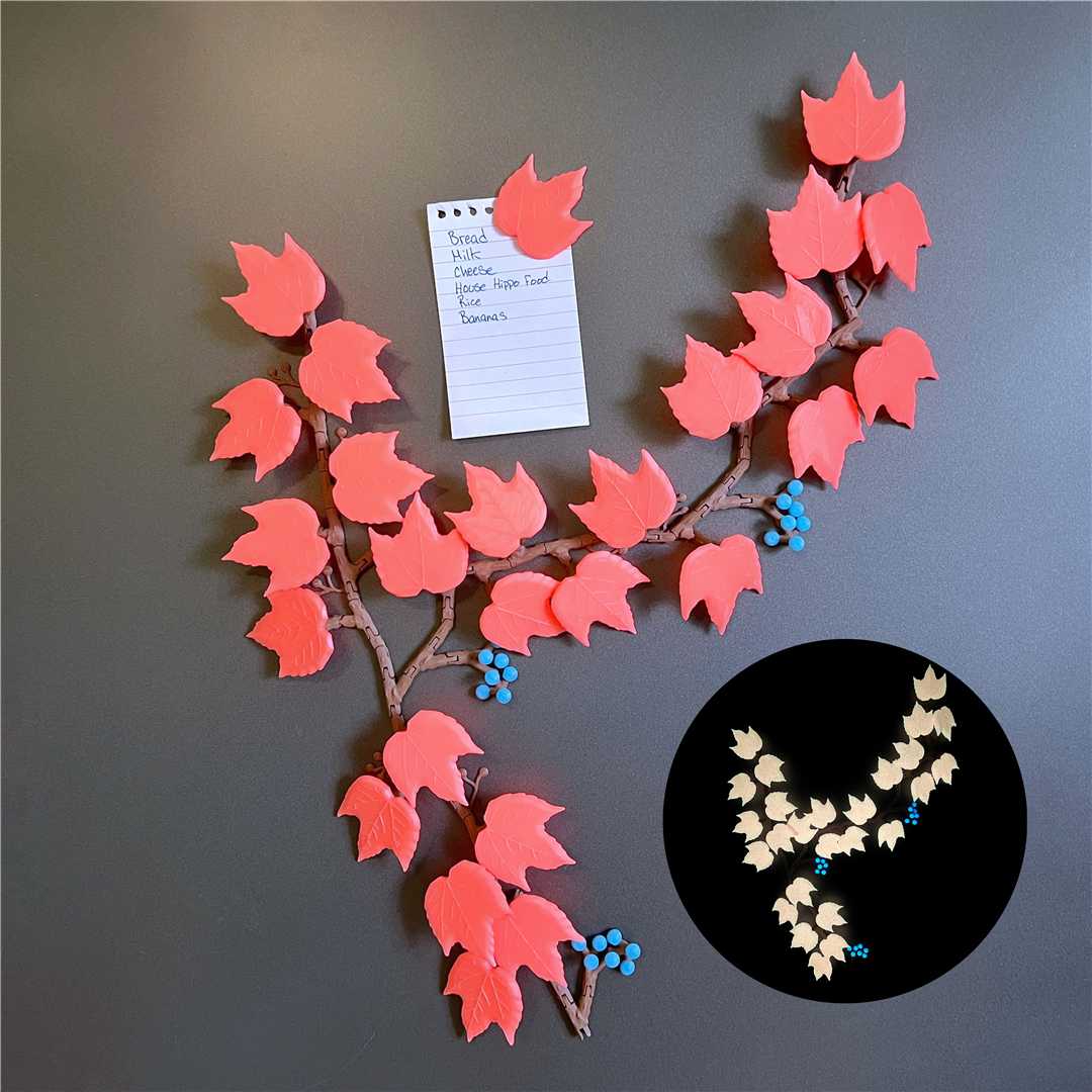 boston ivy 2 up (Large).png