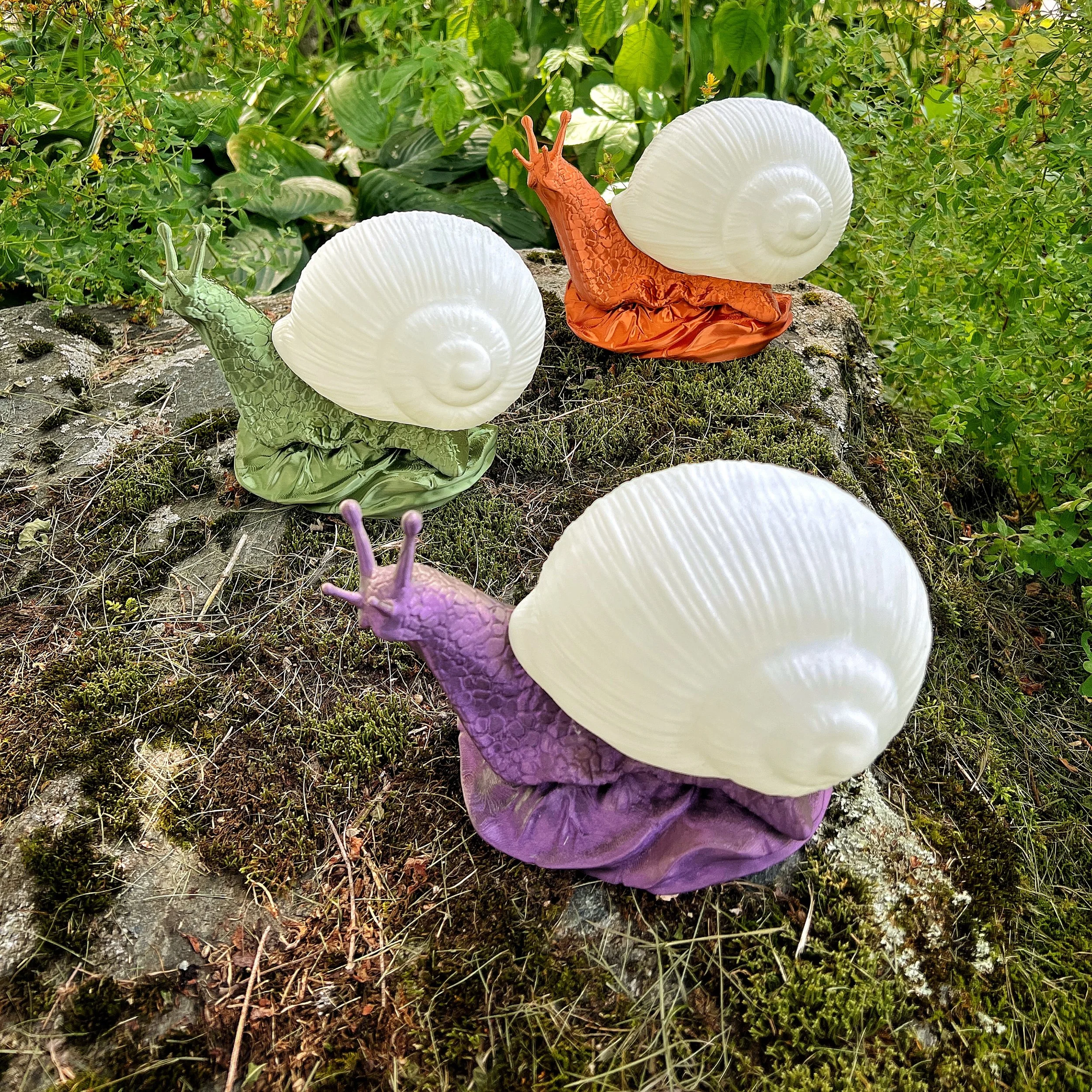 IMG_3245.png