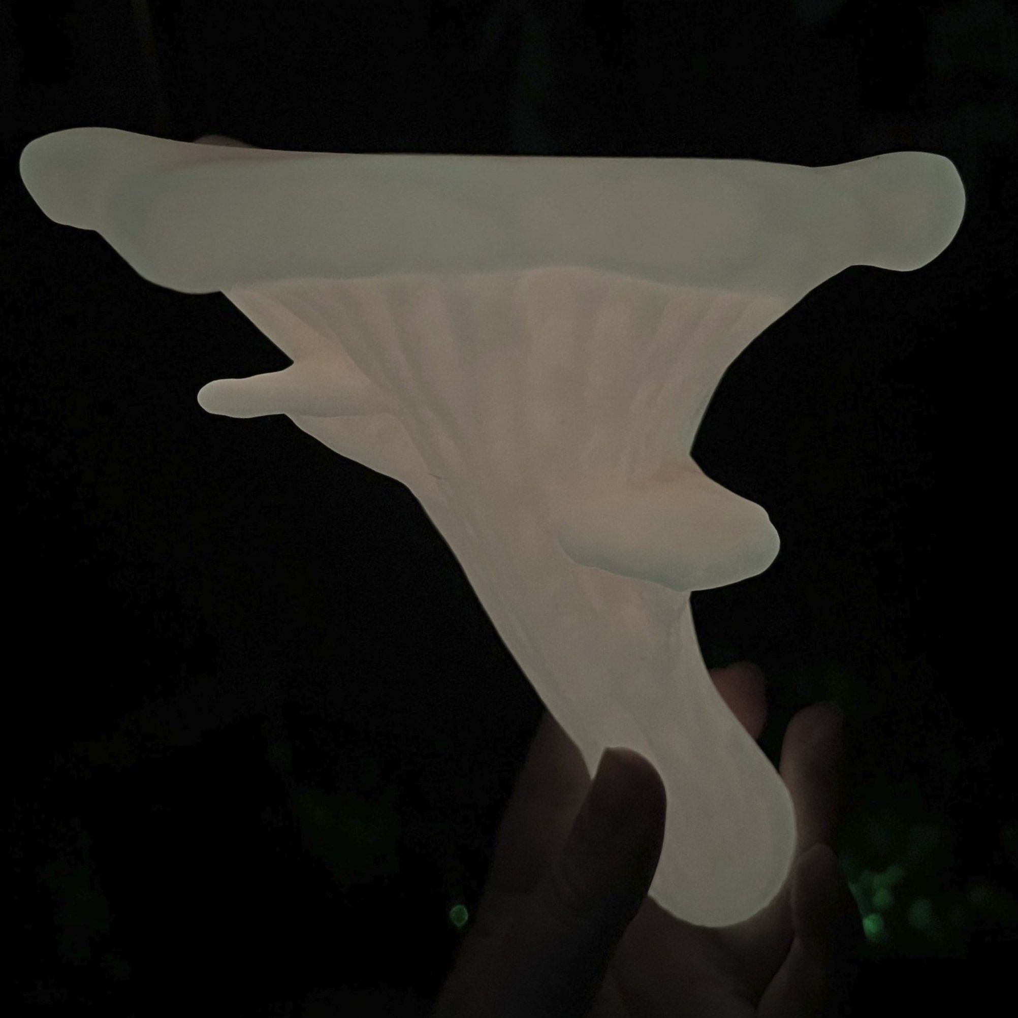 Glow in the dark mushroom shelf, mushroom shelf, mushroom shelves, 3d printed mushroom shelf, mushroom home decor, cottagecore, shroom shelf