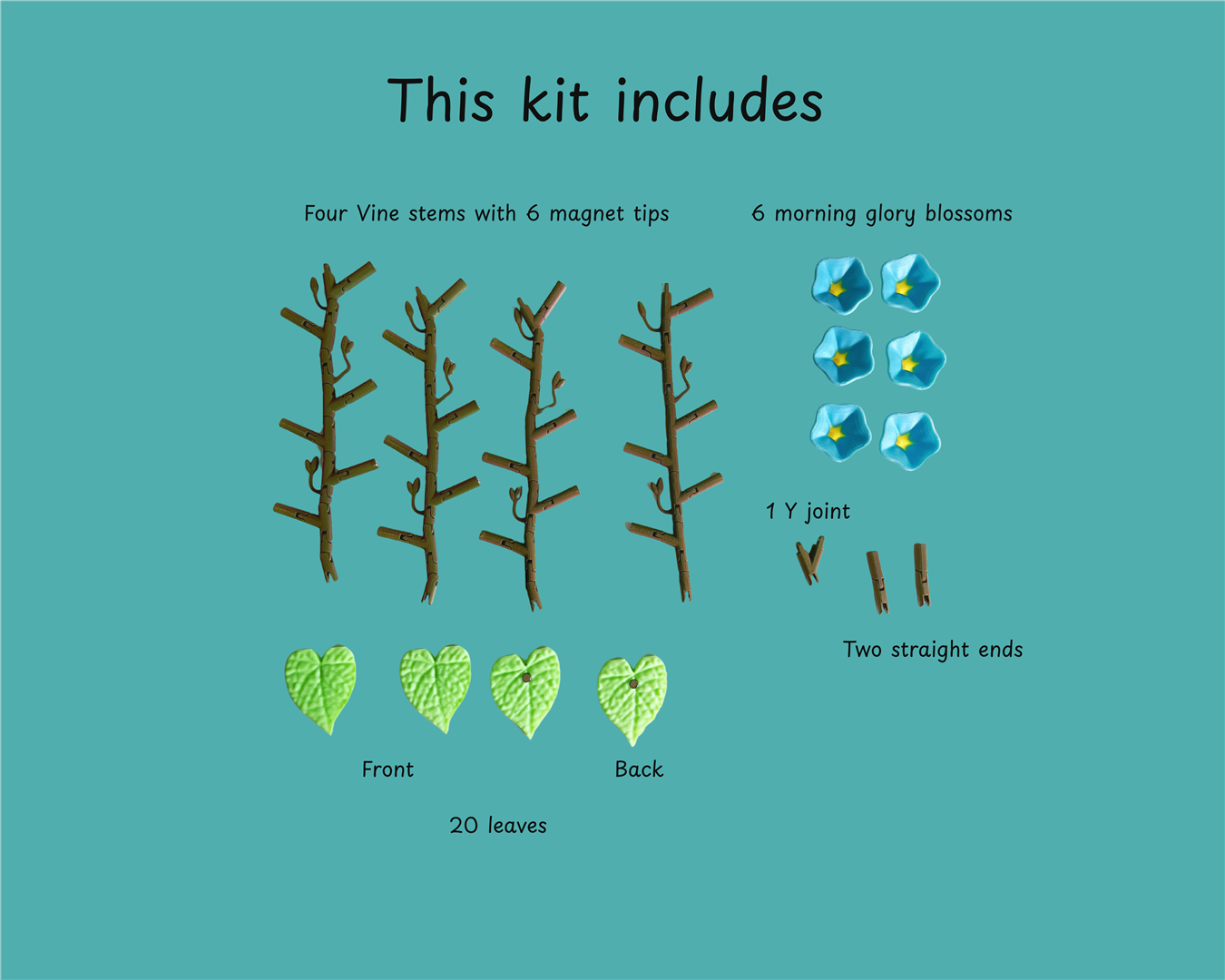 morning glory kit (Large).png