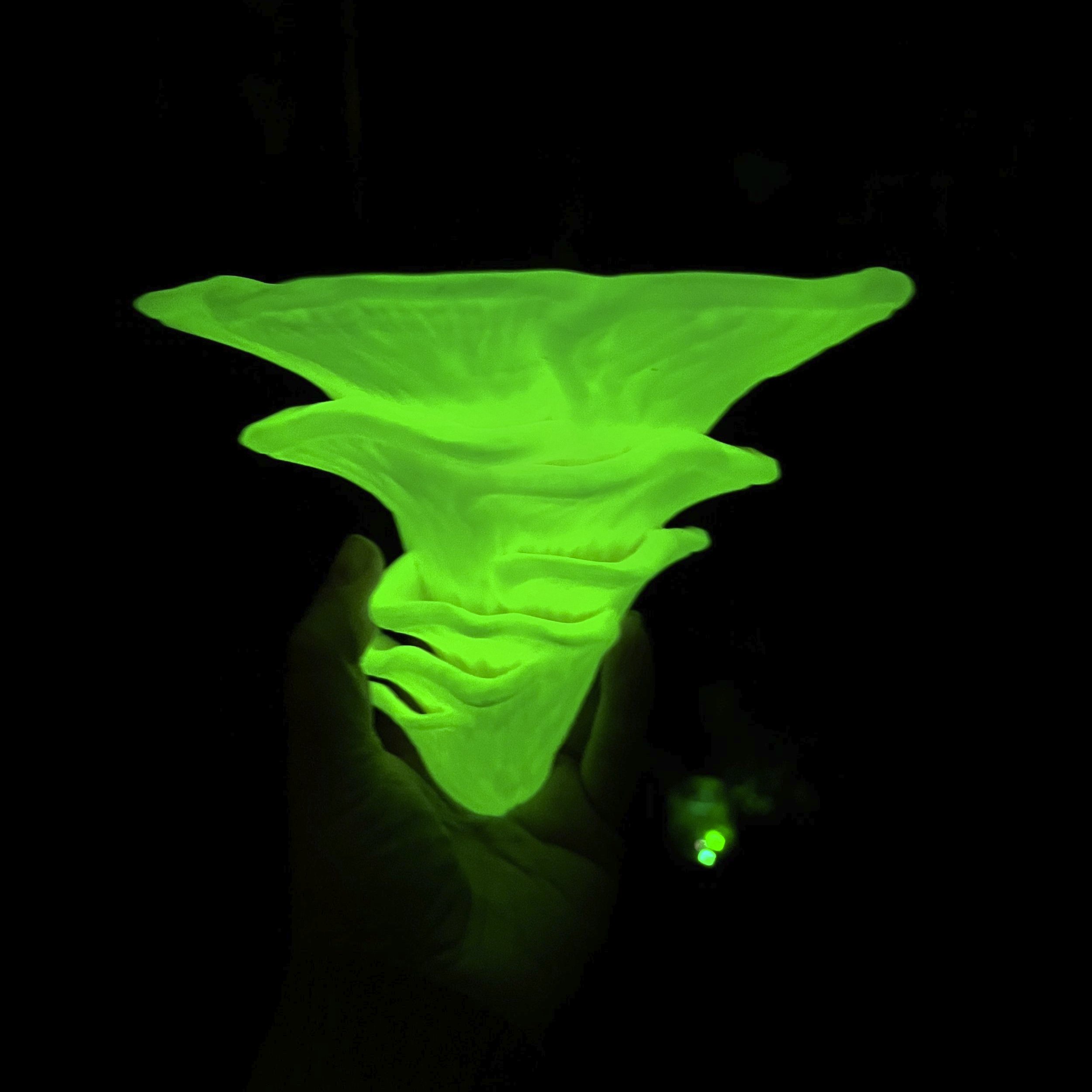 Glow in the dark mushroom shelf, mushroom shelf, mushroom shelves, 3d printed mushroom shelf, mushroom home decor, cottagecore, shroom shelf