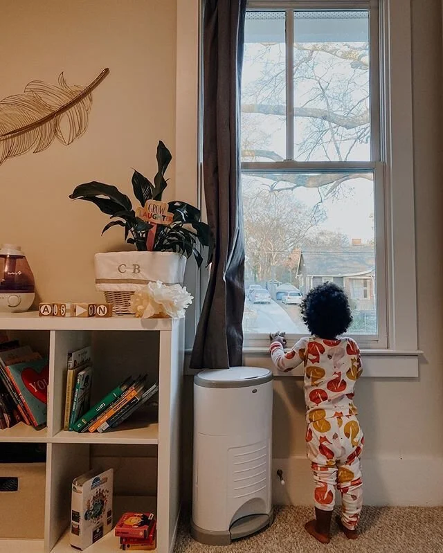 Best Diaper Pail Dekor Plus Dekor Classic Diaper Pail