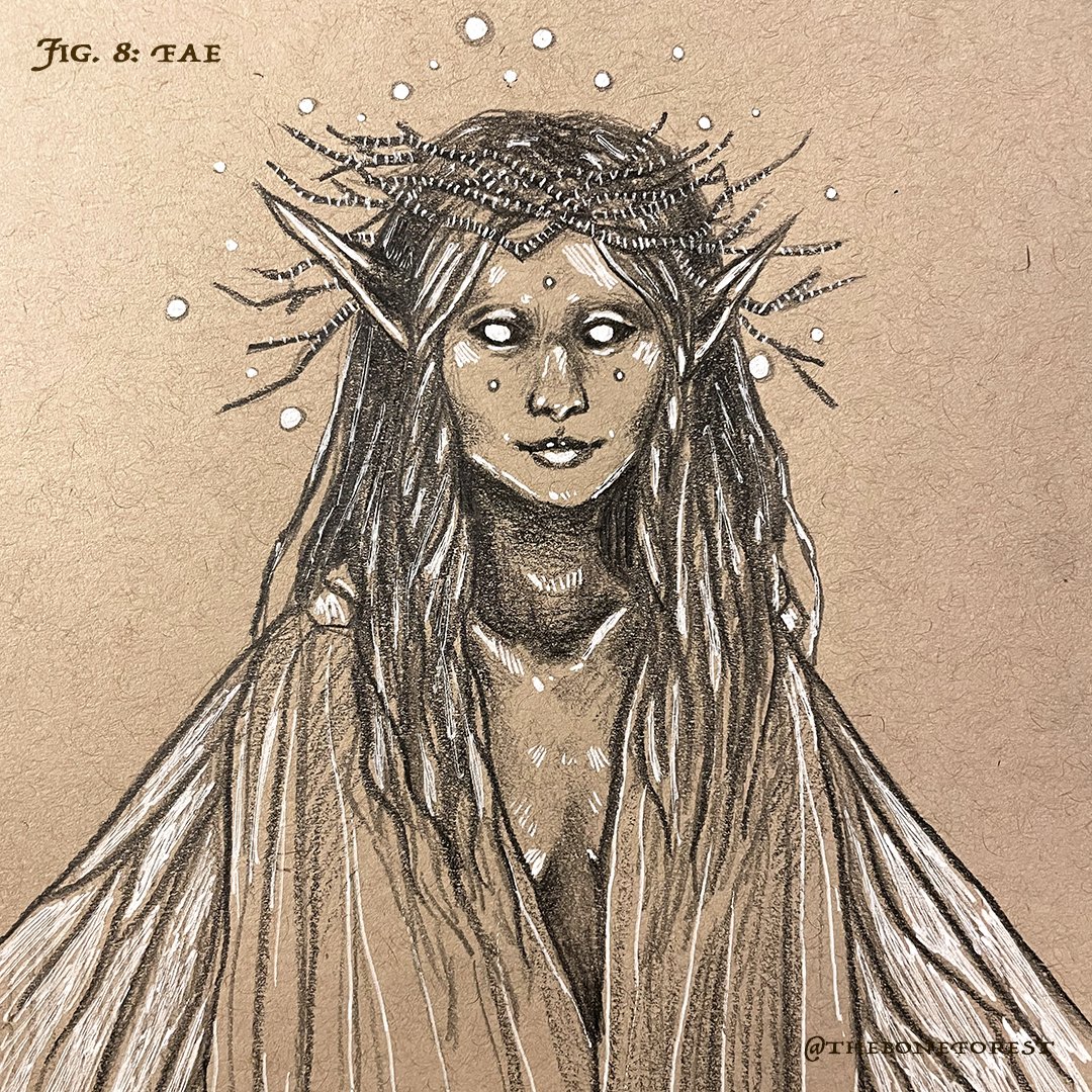 Fig. 8 - Fae.jpg