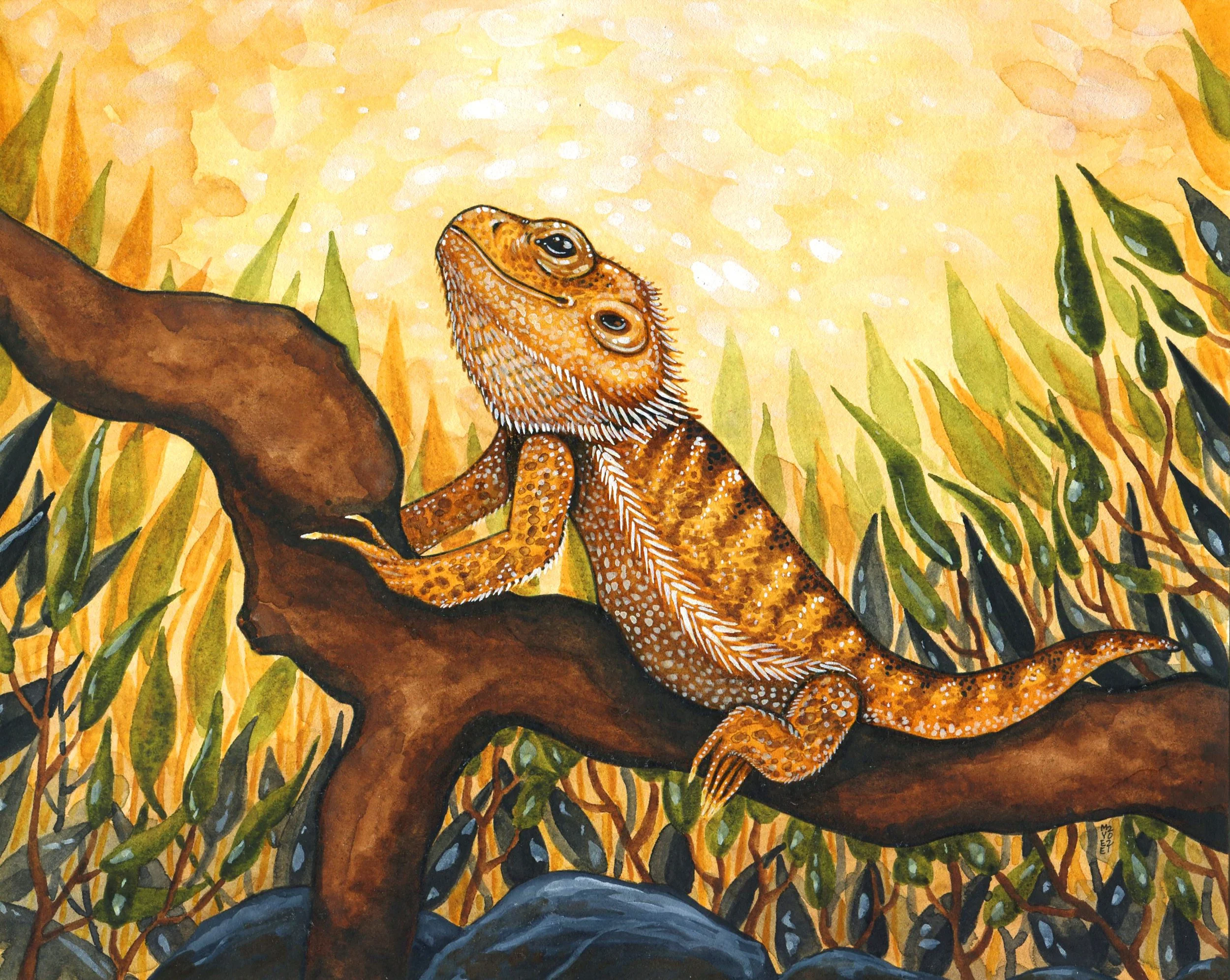 Bearded Dragon.jpg