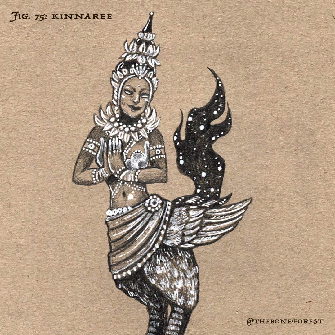 Fig. 75 - Kinnaree.jpg