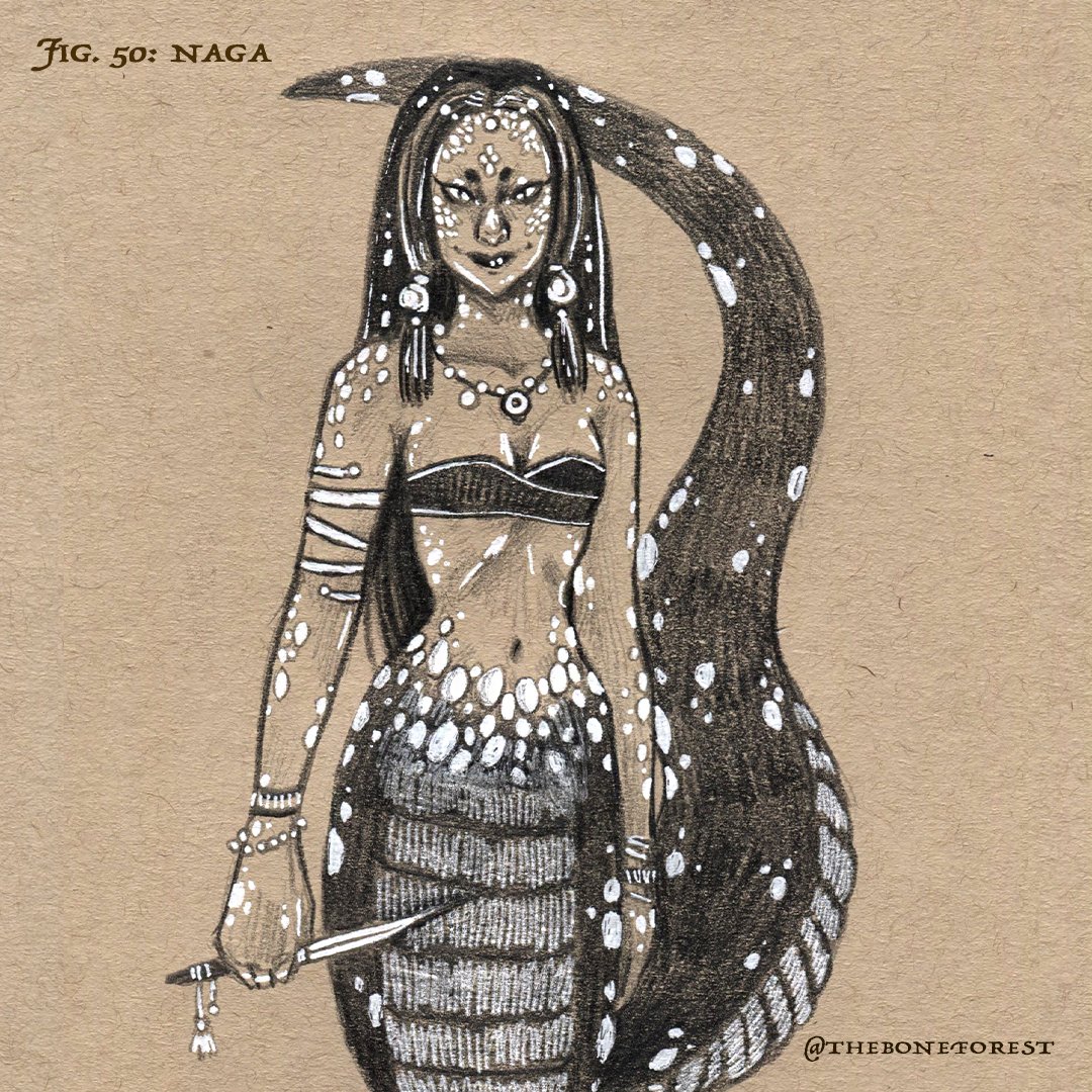 Fig. 50 - Naga.jpg