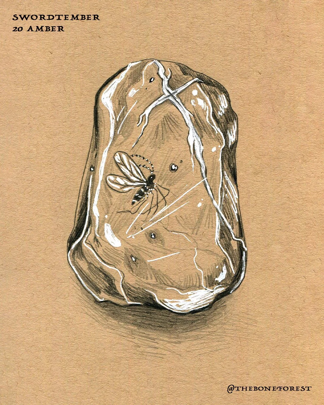 Day 20 - Amber.jpg