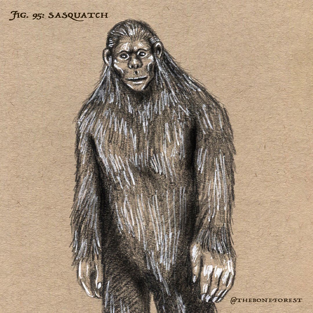 Fig. 95 - Sasquatch.jpg