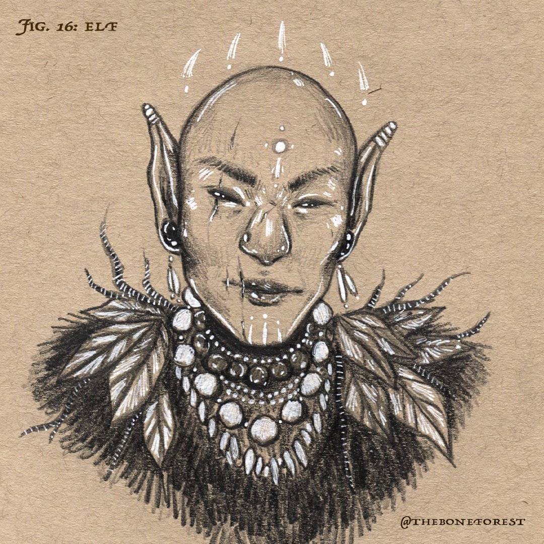Fig. 16 - Elf.jpg