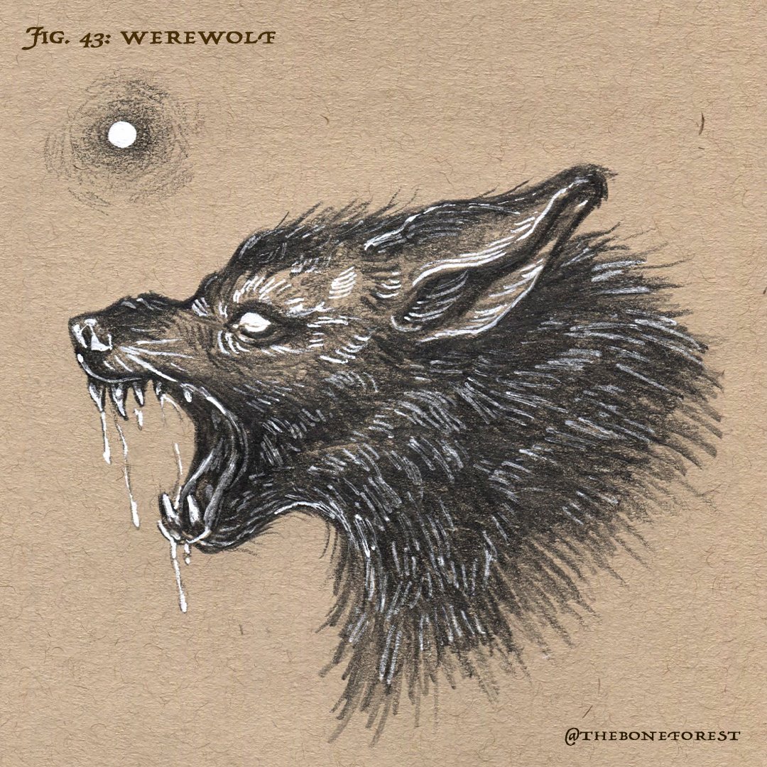 Fig. 43 - Werewolf.jpg