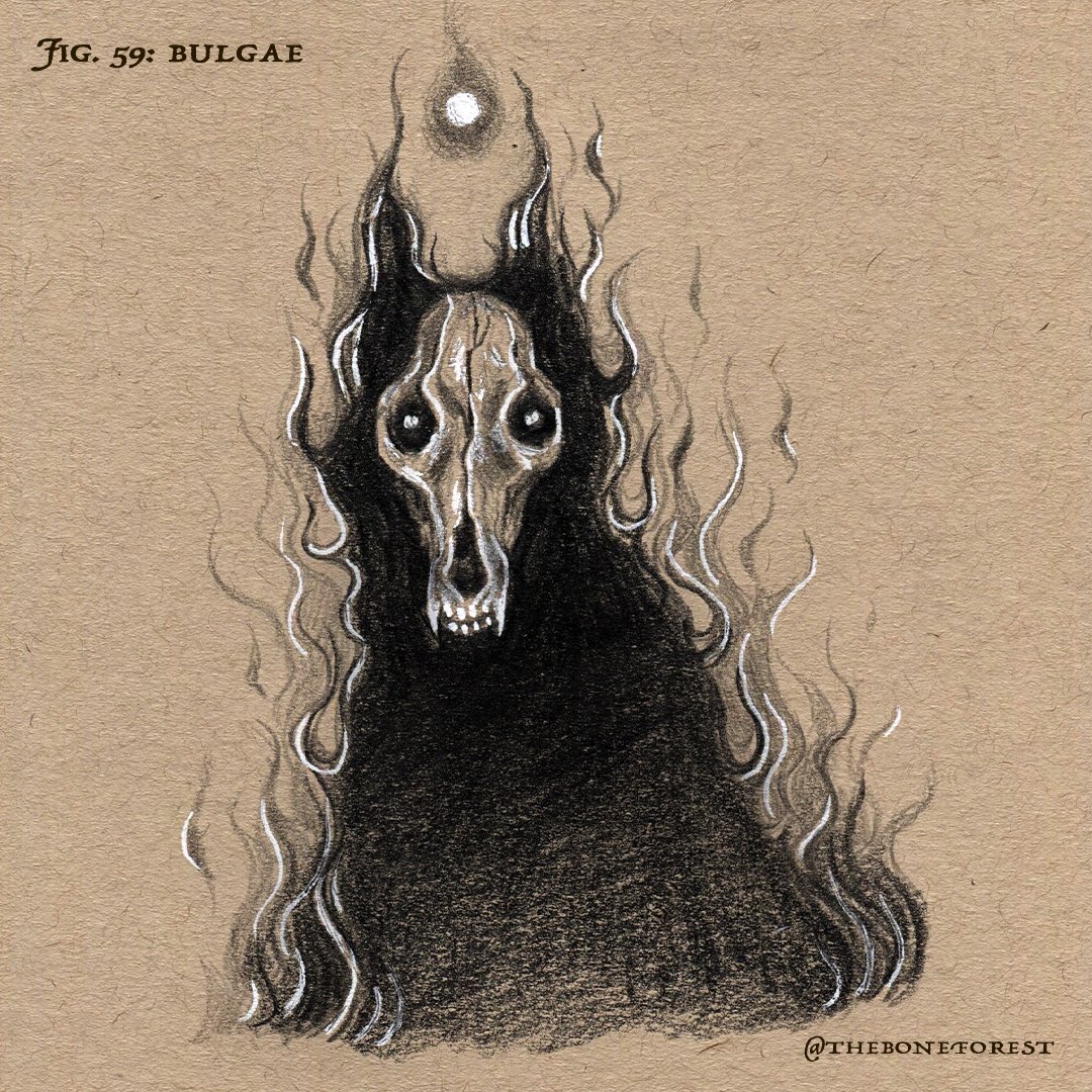 Fig. 59 - Bulgae.jpg