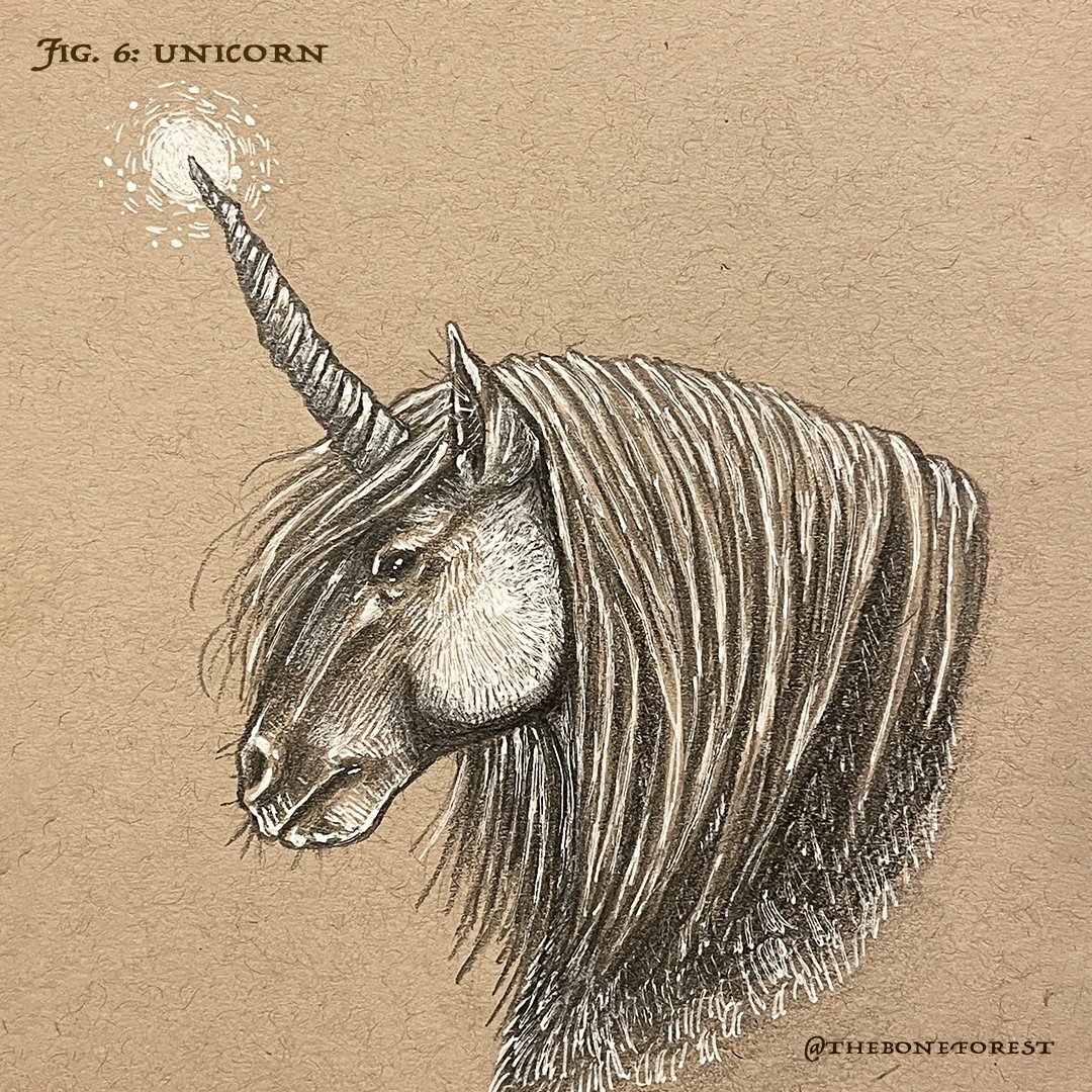 Fig. 6 - Unicorn.jpg