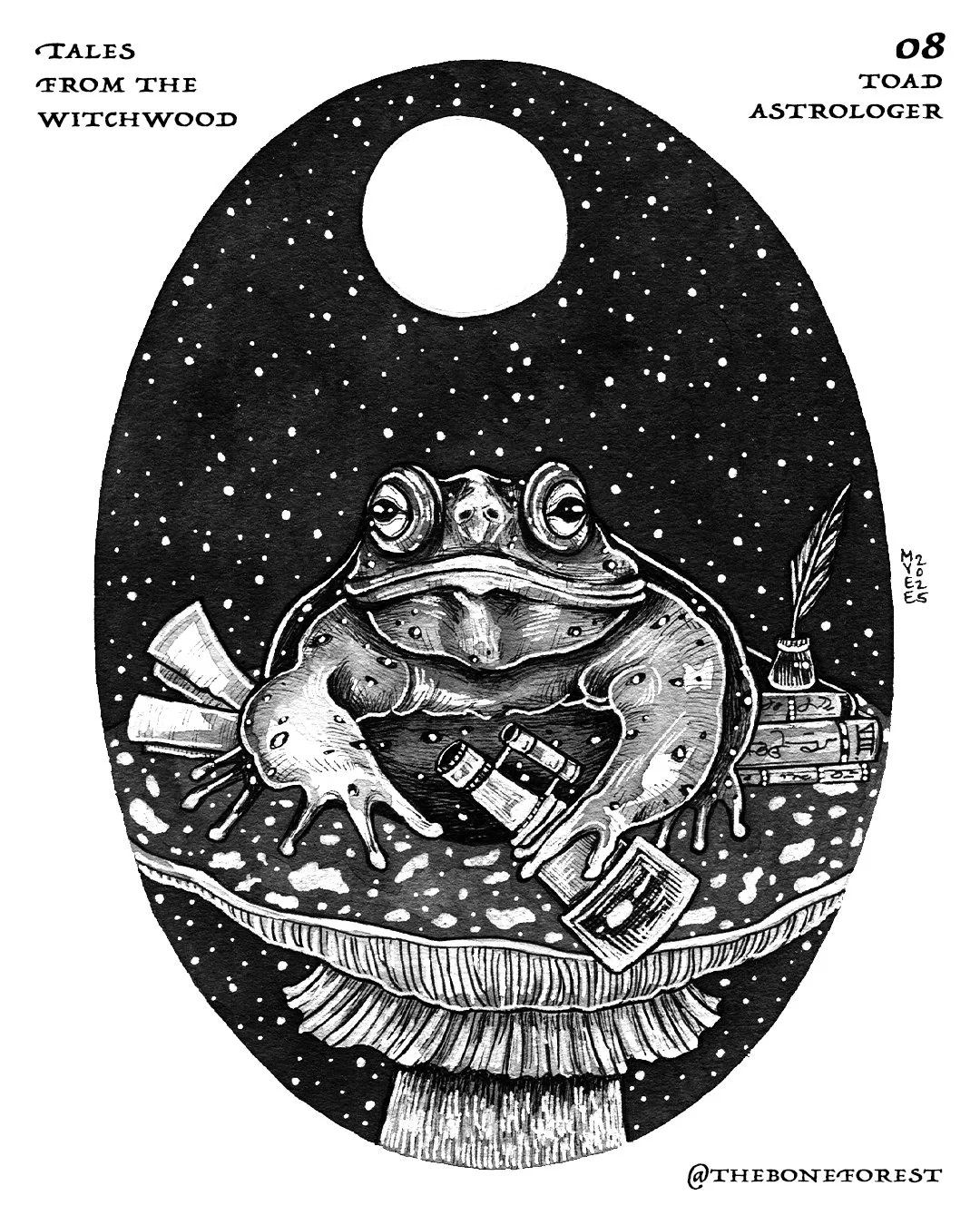 Day 8 - Toad Astrologer.jpg