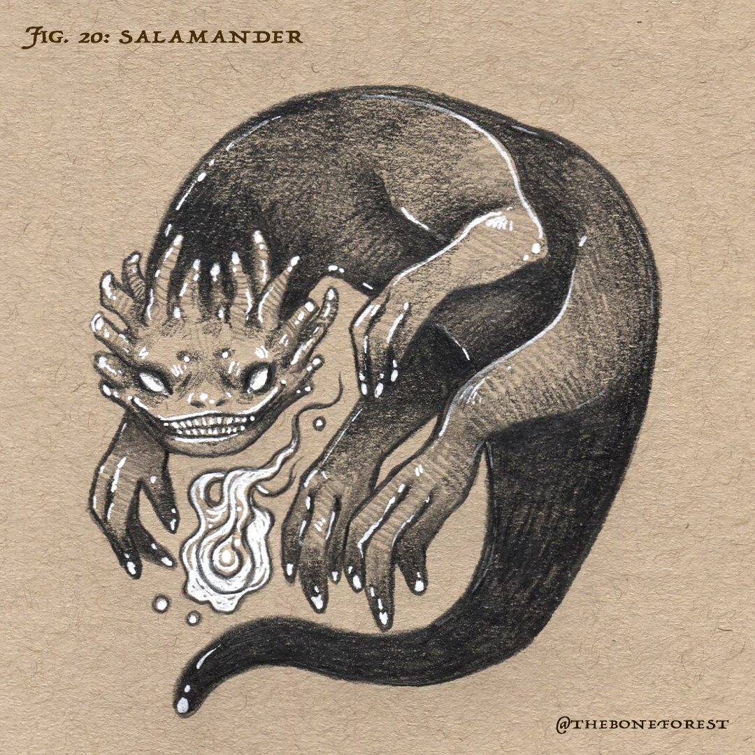 Fig. 20 - Salamander.jpg