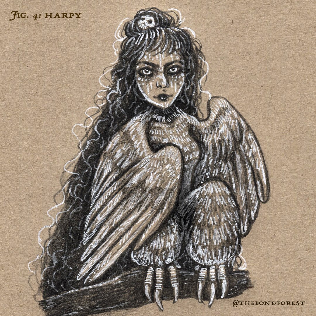 Fig. 4 - Harpy.jpg