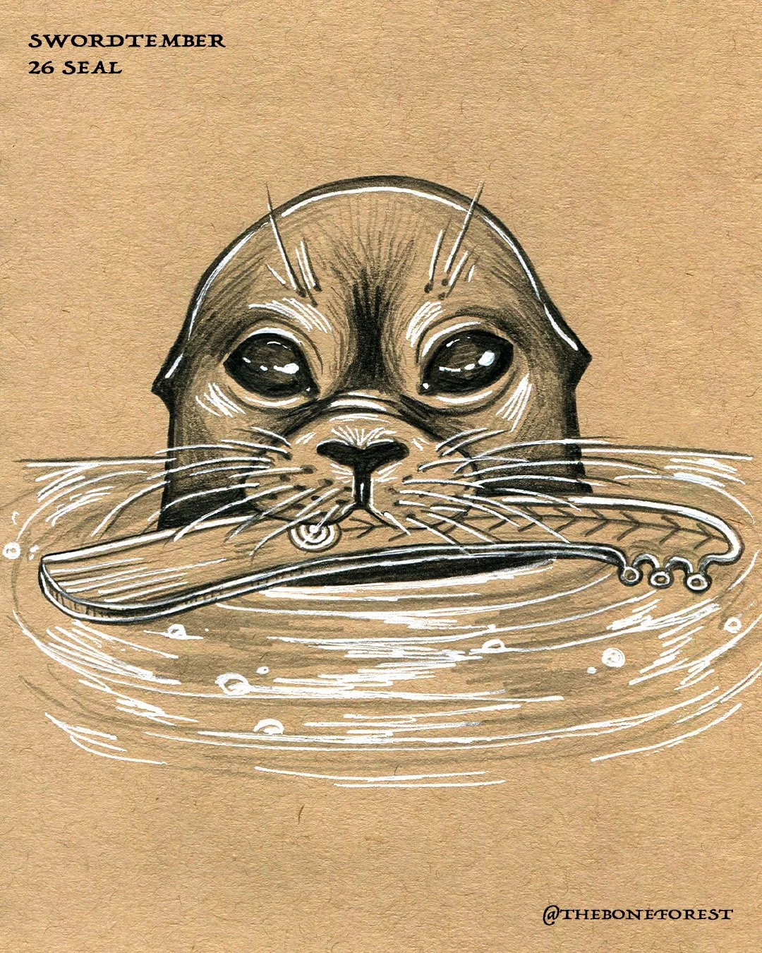 Day 26 - Seal.jpg