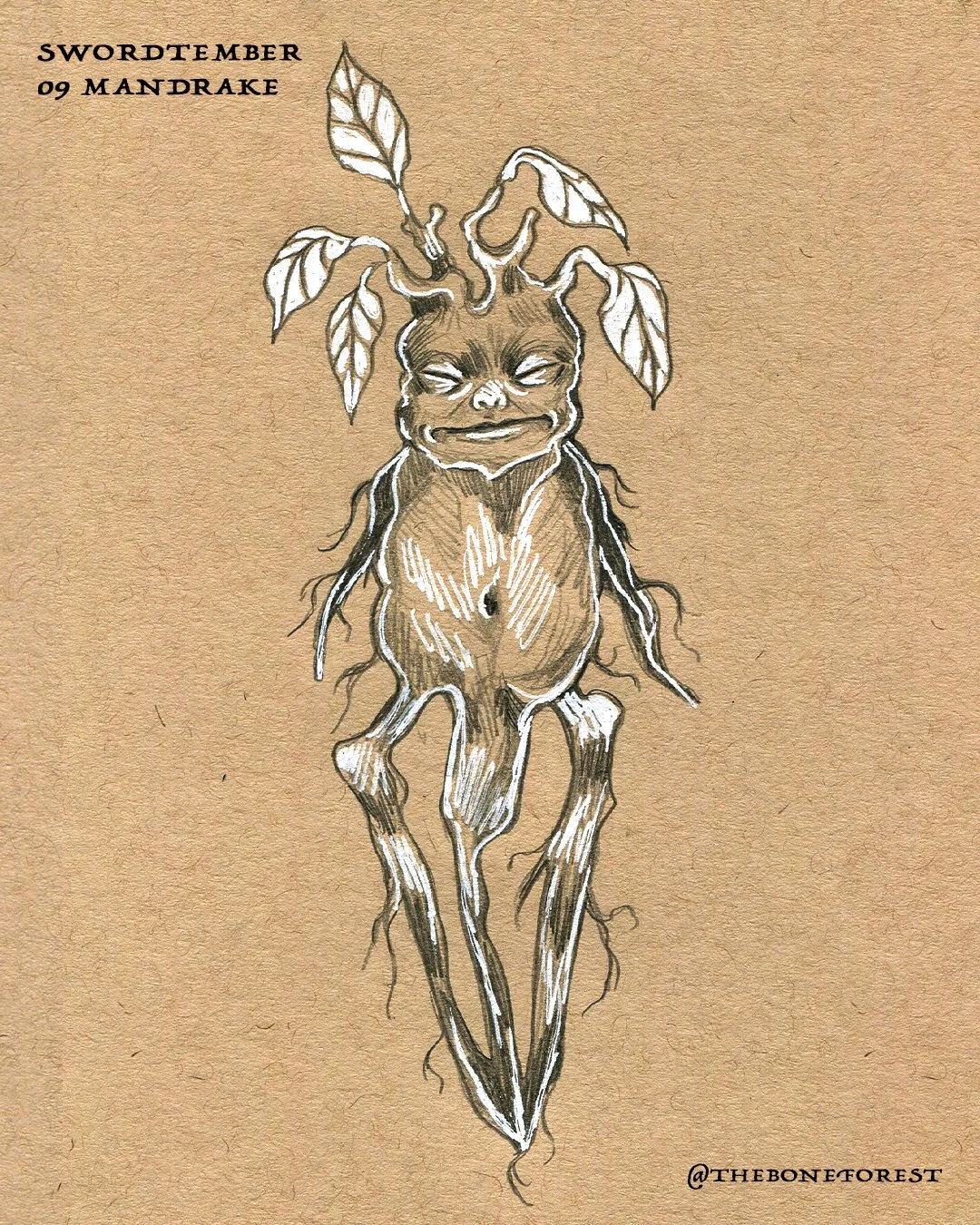 Day 9 - Mandrake.jpg