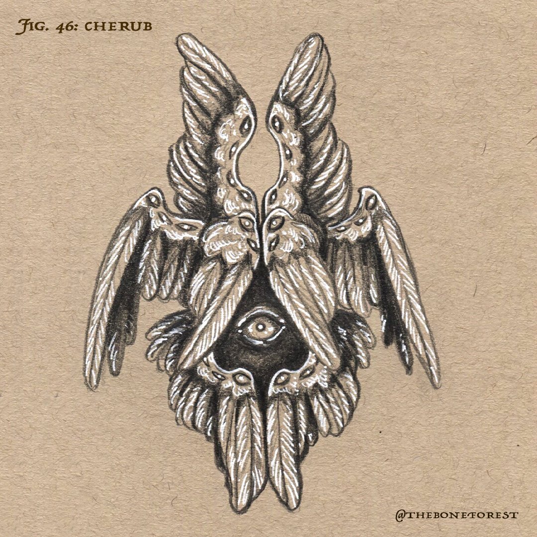 Fig. 46 - Cherub.jpg