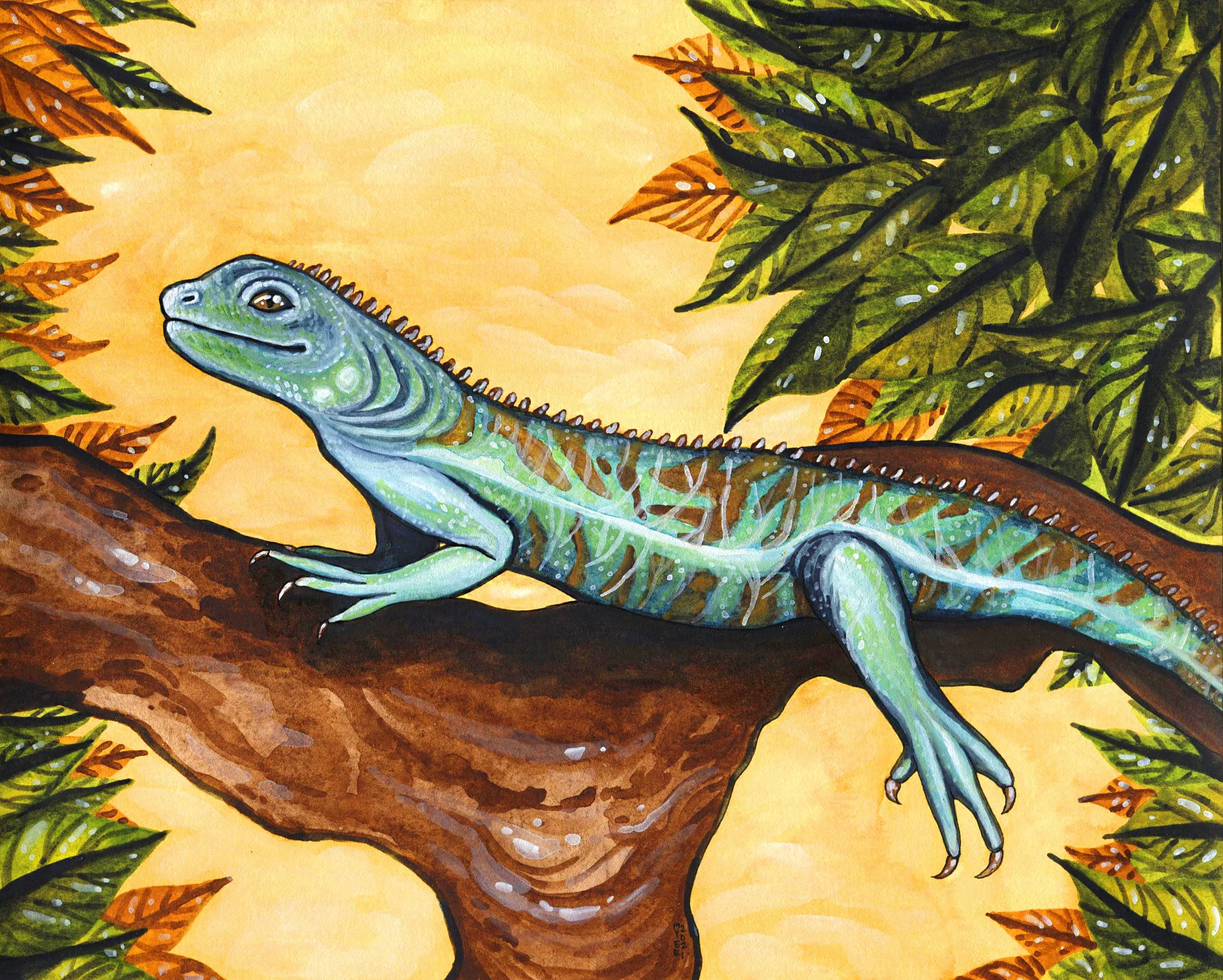 Turquoise Iguana.jpg