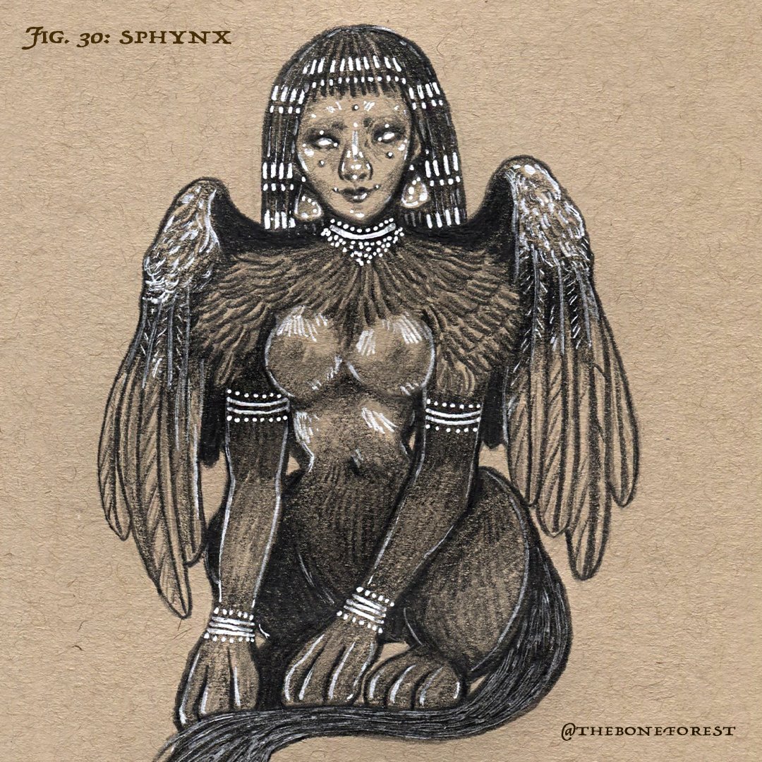 Fig. 30 - Sphynx.jpg