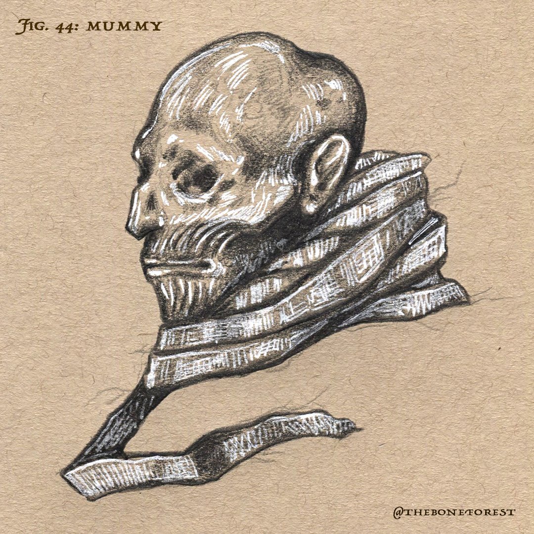 Fig. 44 - Mummy.jpg