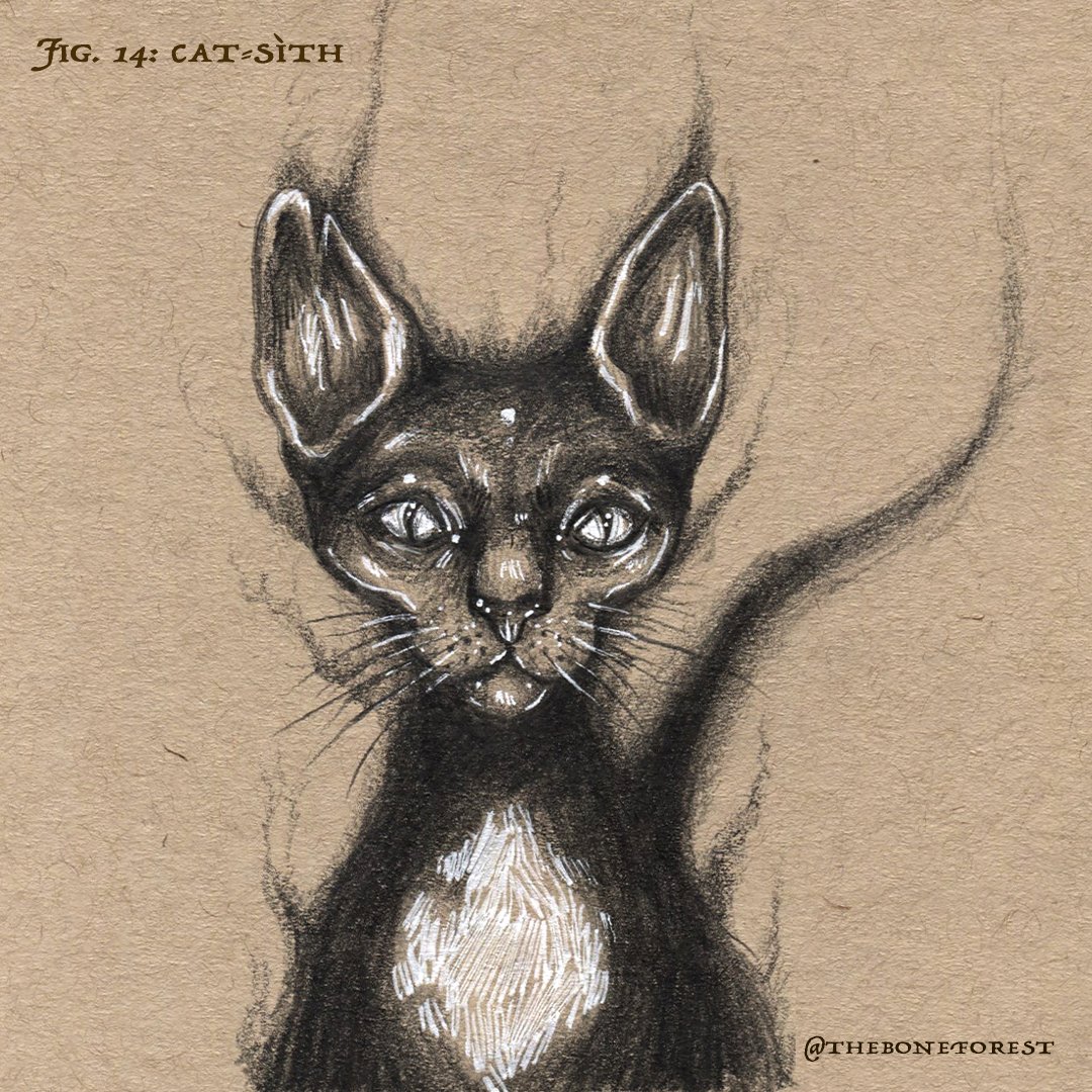 Fig. 14 - Cat-sìth.jpg
