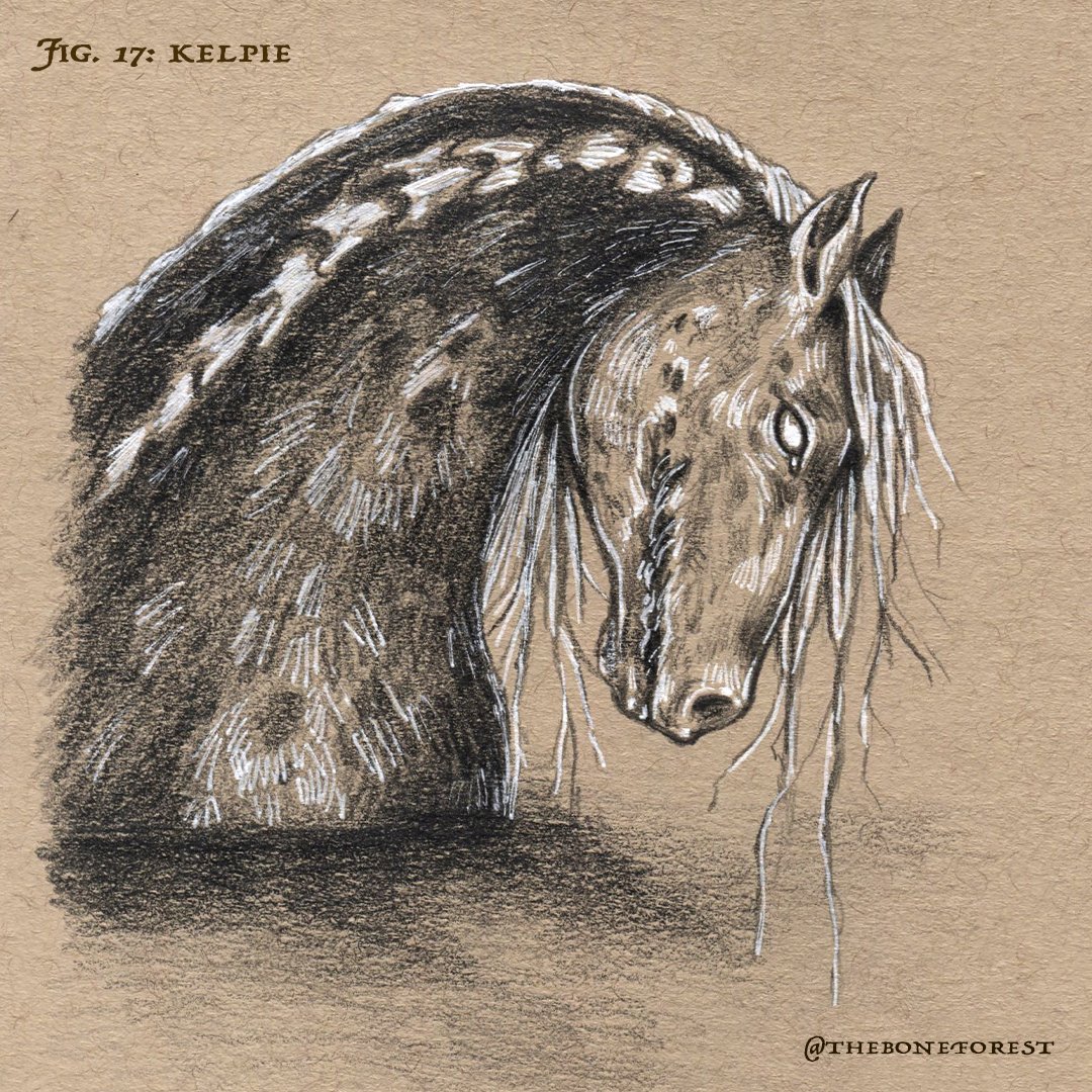 Fig. 17 - Kelpie.jpg