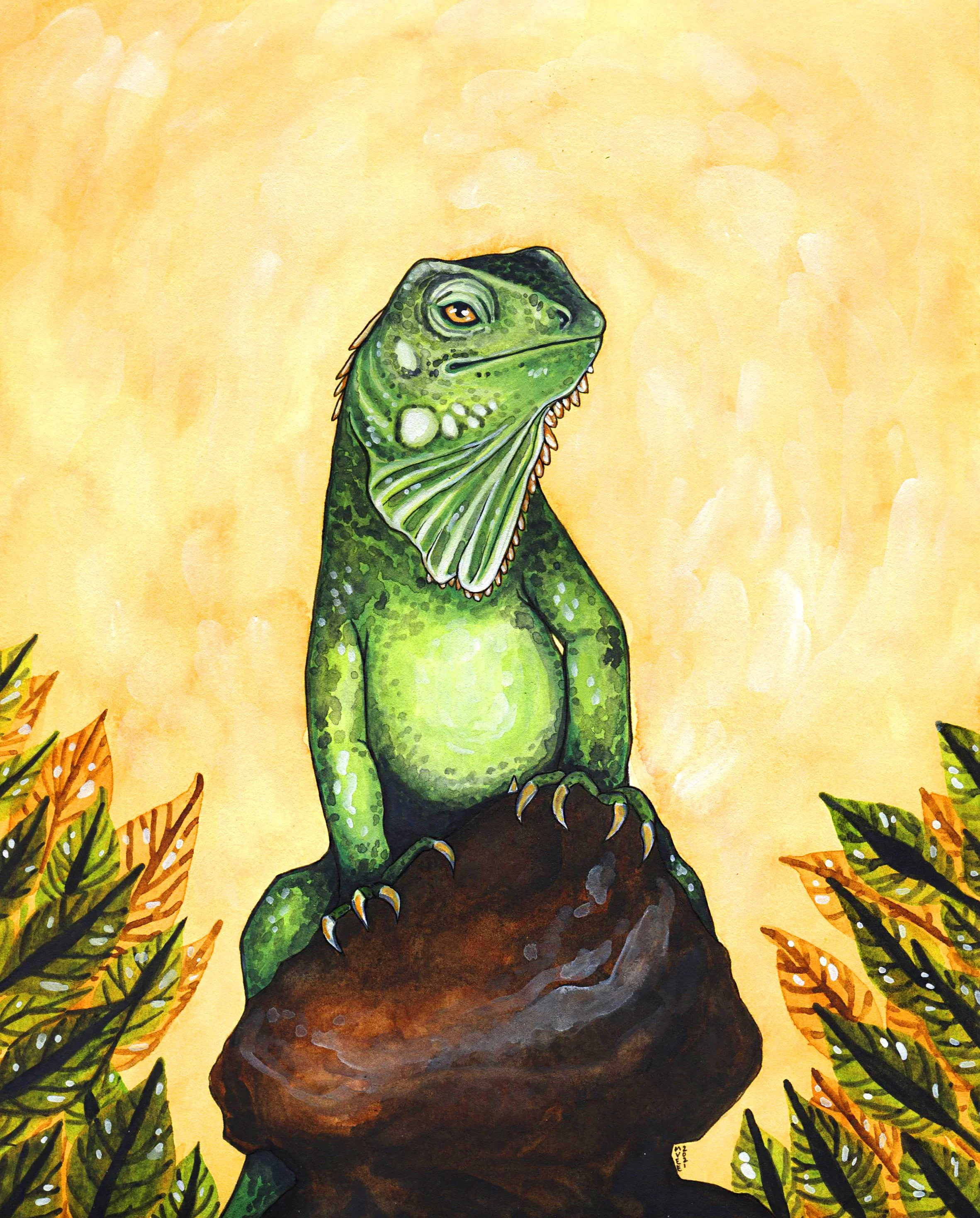 Green Iguana.jpg