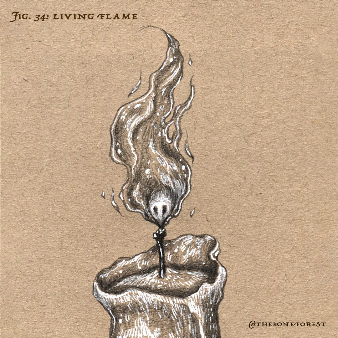 Fig. 34 - Living Flame.jpg