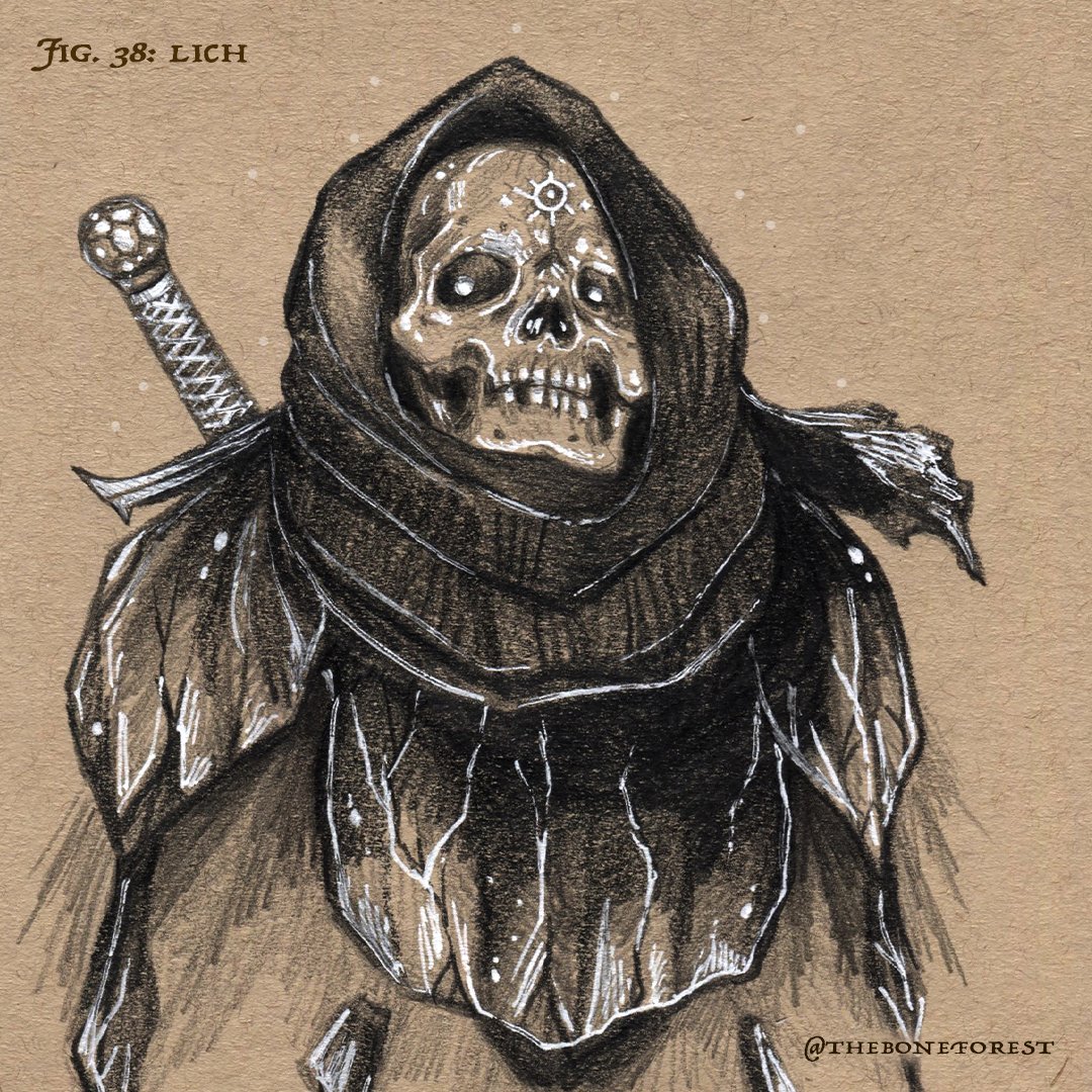 Fig. 38 - Lich.jpg