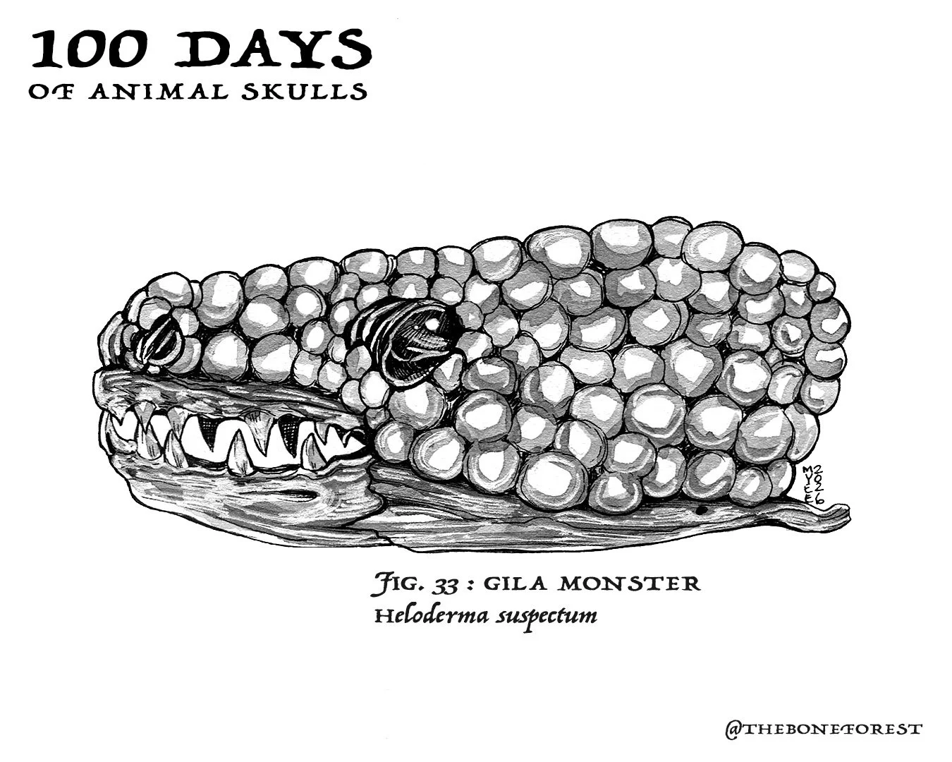 33 Gila Monster.jpg