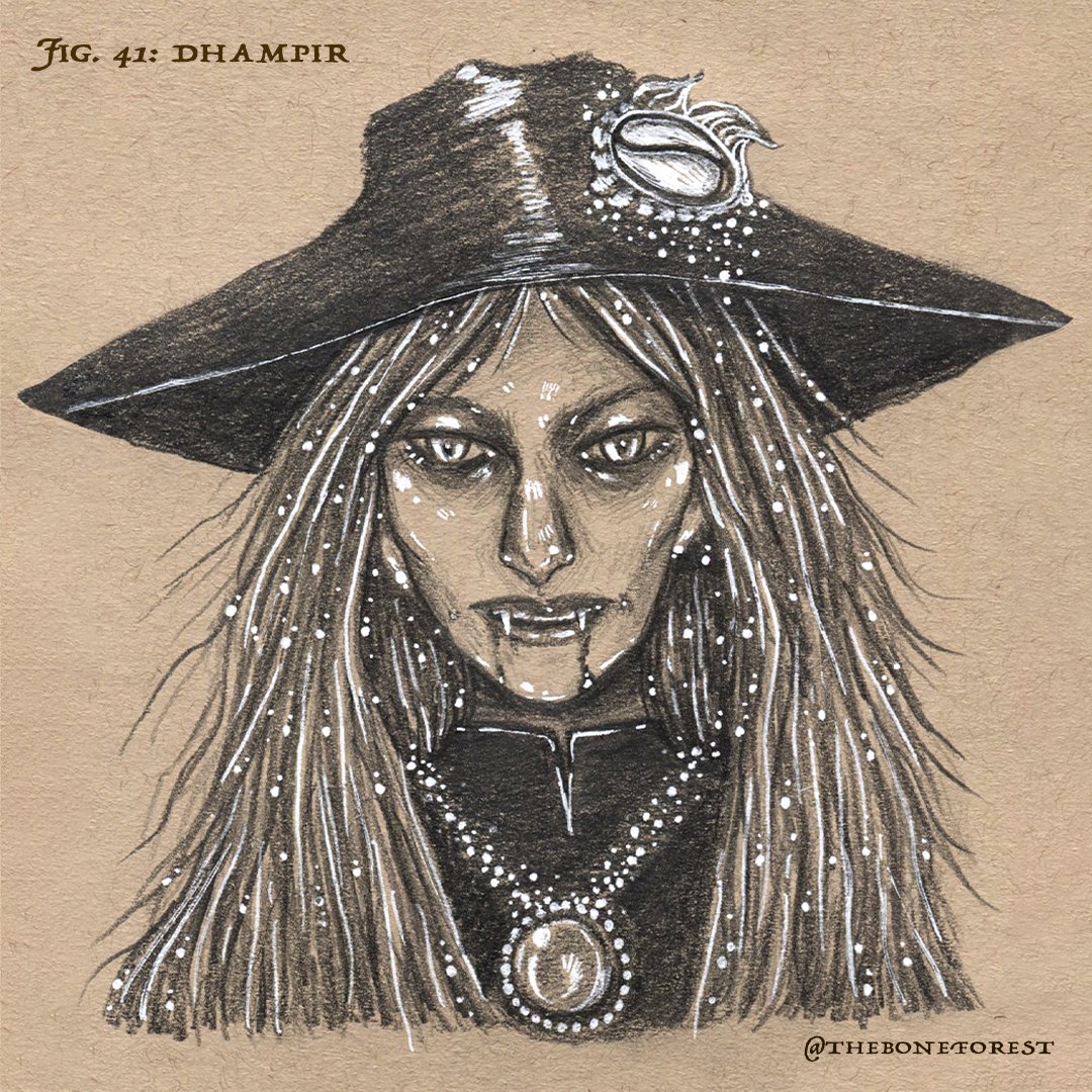 Fig. 41 - Dhampir.jpg