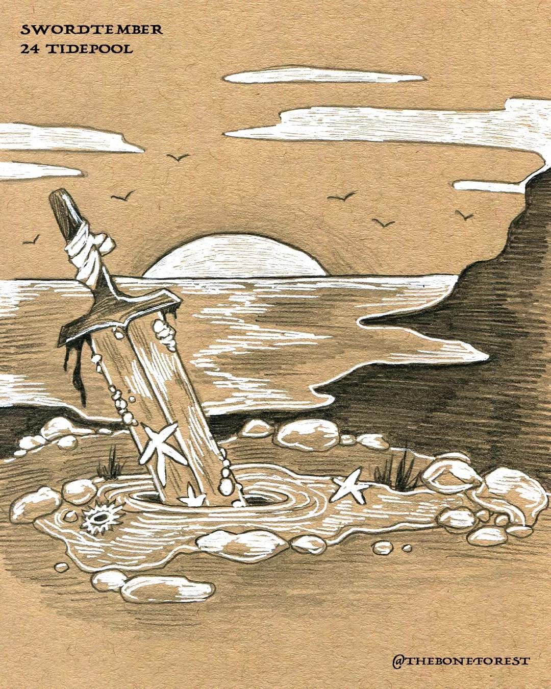 Day 24 - Tidepool.jpg