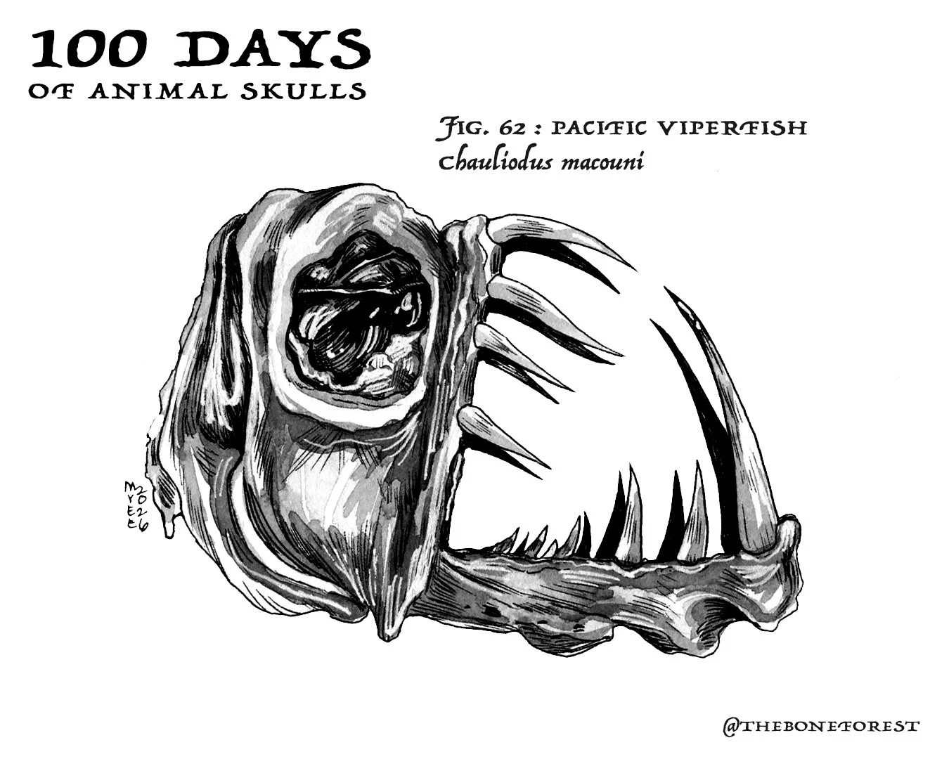 62 Viperfish.jpg
