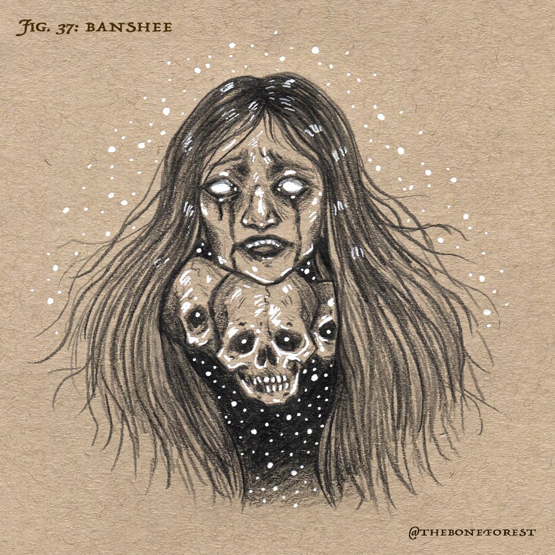 Fig. 37 - Banshee.jpg