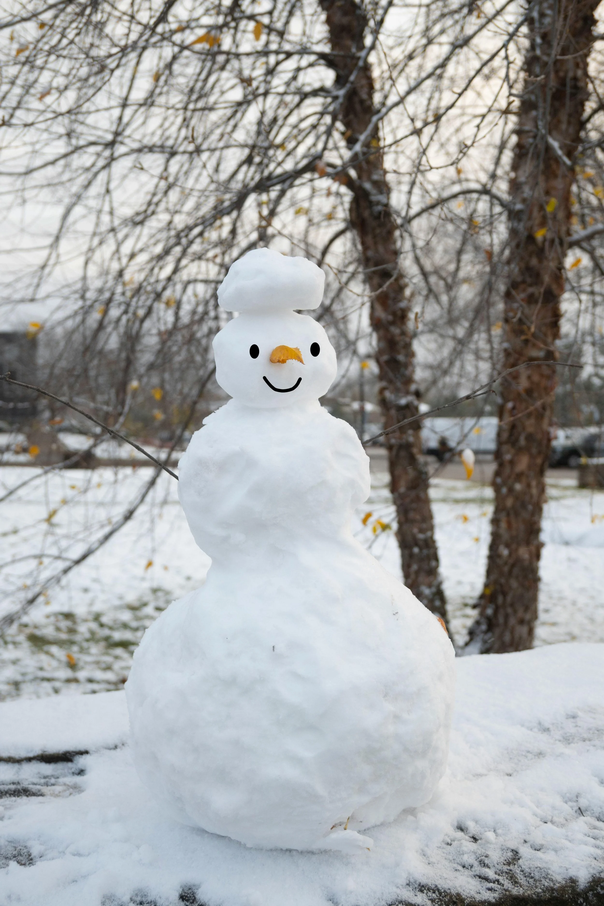 A festive snowman with a carrot nose.