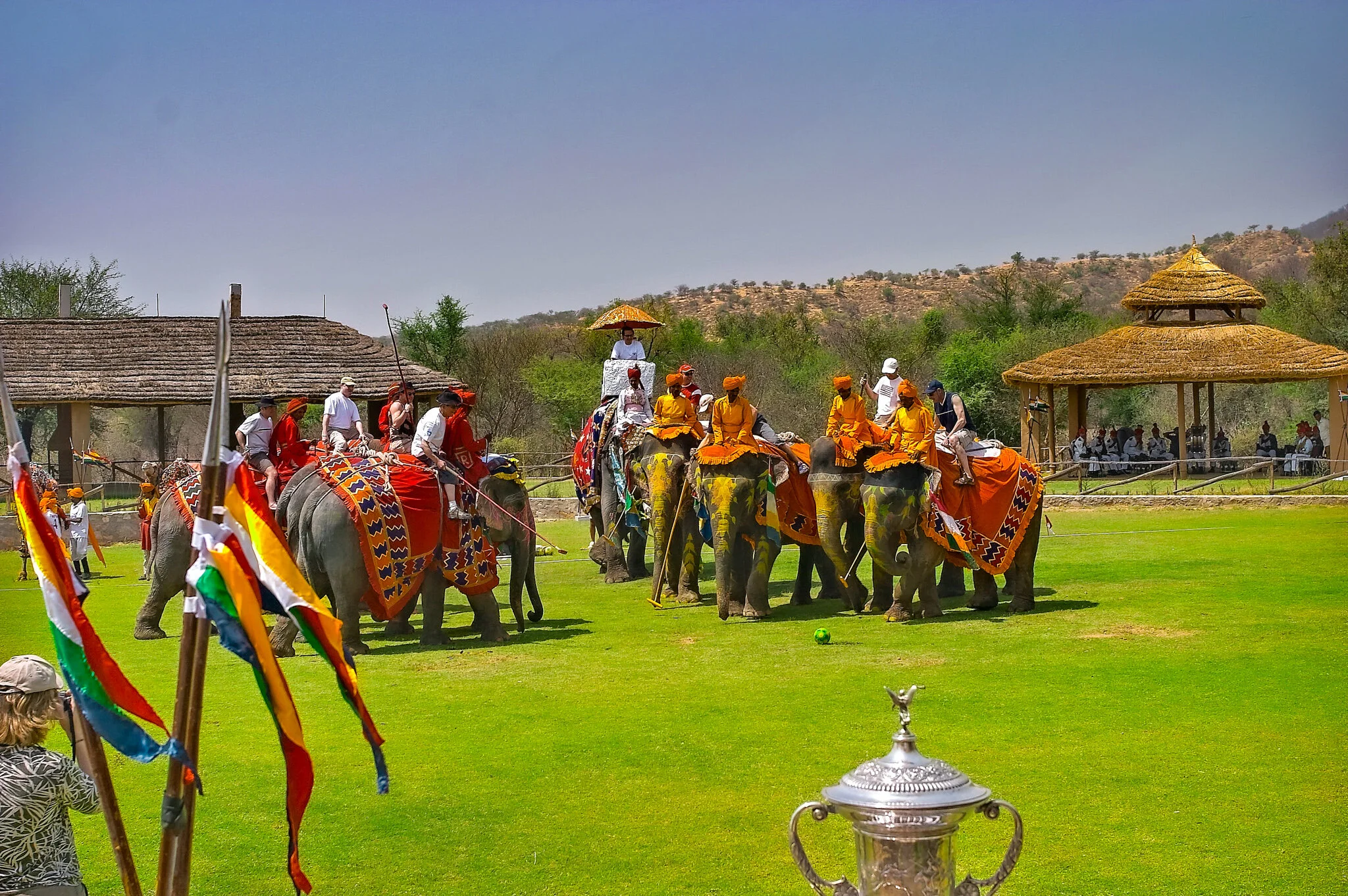 Elephant Polo,  Jaipur