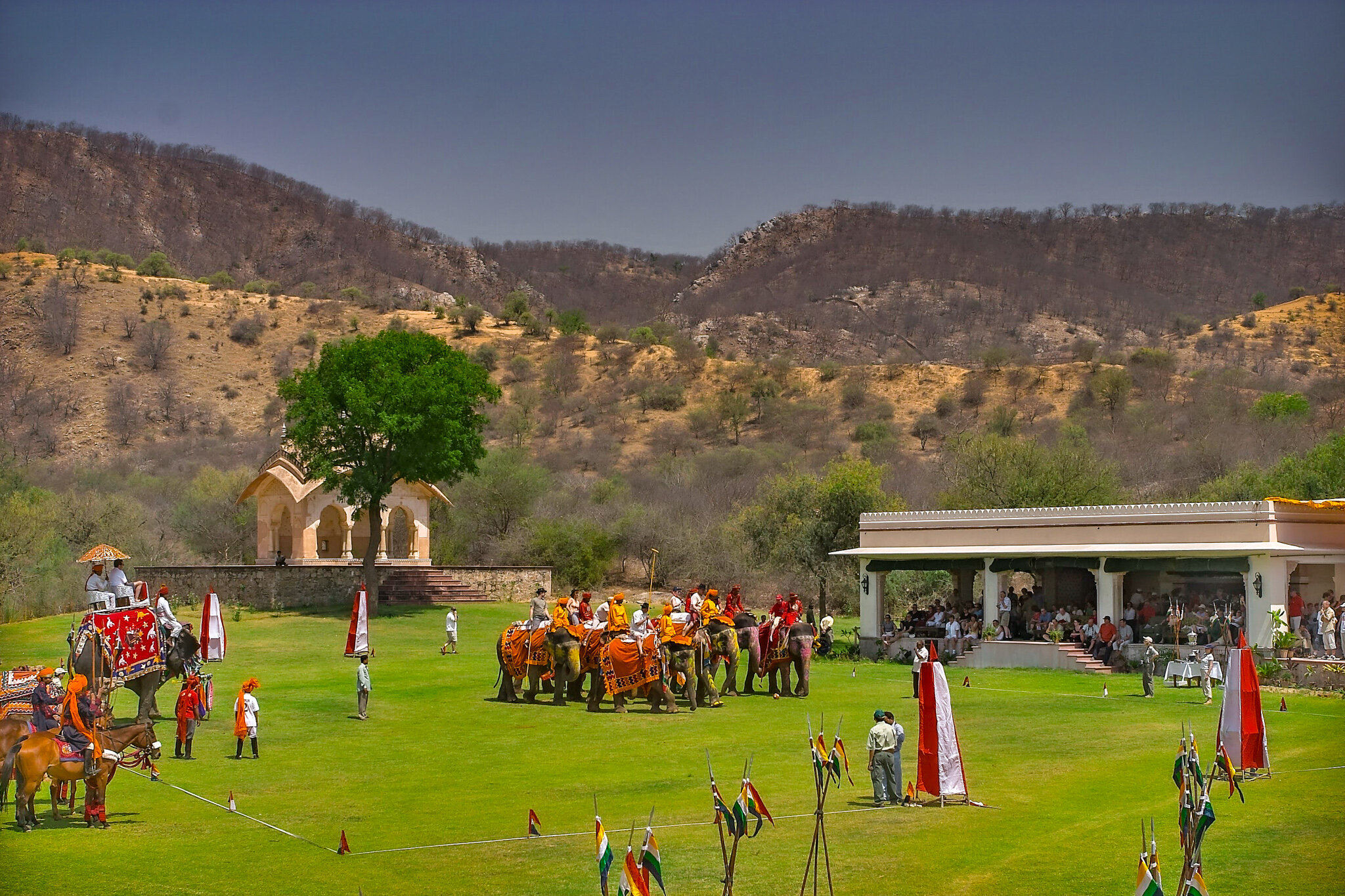 Elephant Polo,  Jaipur