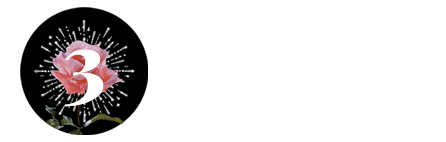 Icon 03.png
