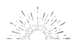 extra smallcrown.png