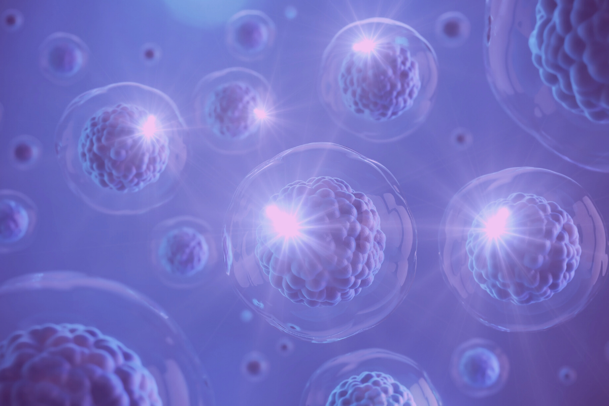 cells .png