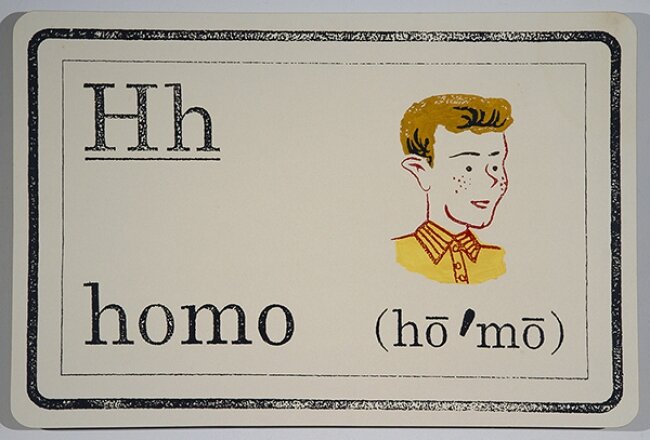 Look-Say (H Homo)