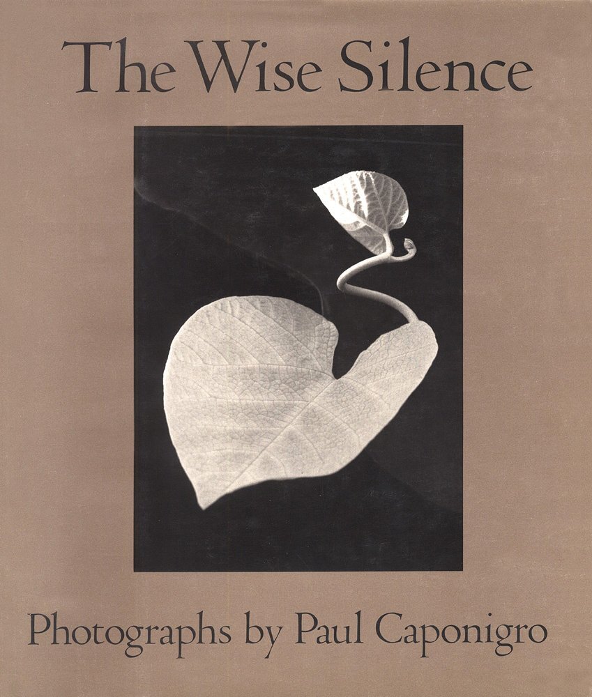 the wise silence.jpeg