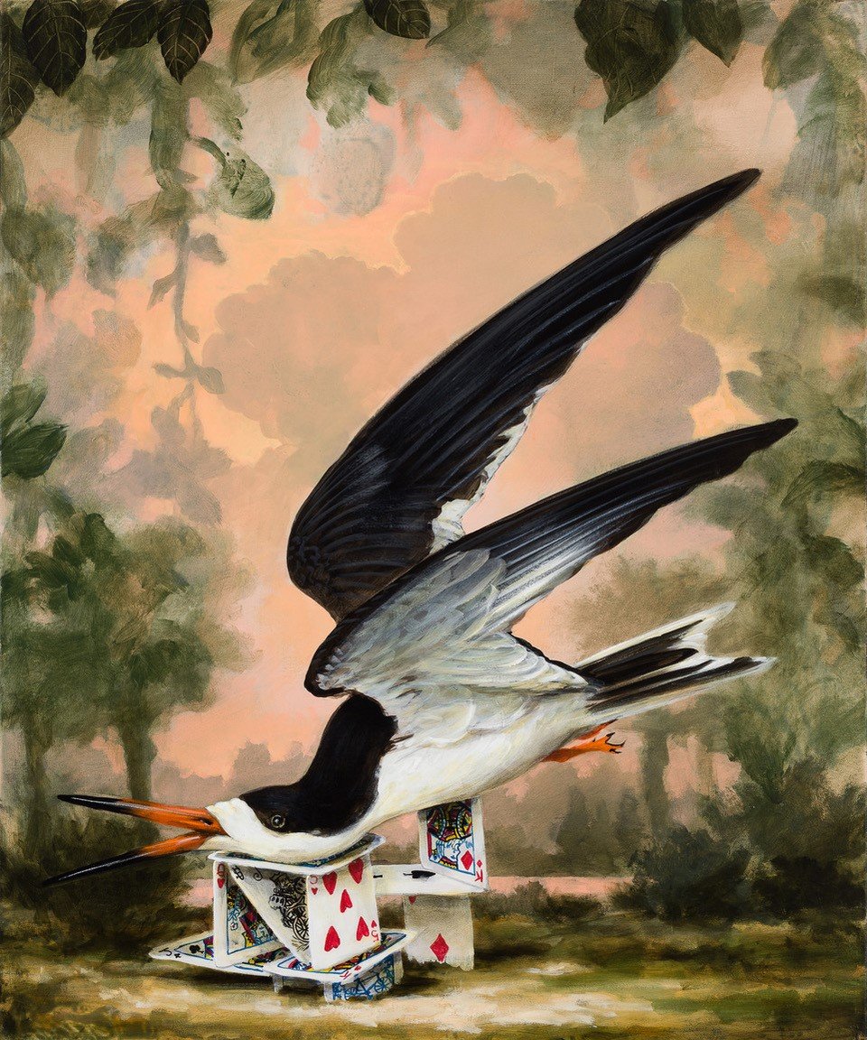 thumbnail_Sloan_Black Skimmer Monument (After Audubon)_36x30_acrylic on canvas_2022_web.jpg
